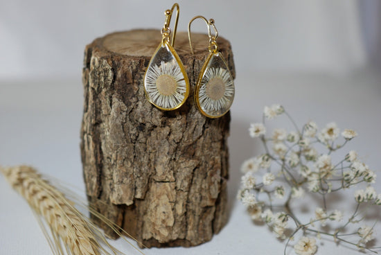 Pressed flower daisy earrings, real flowers,  gold dangles, Nature terrarium earrings, dainty flower teardrop English Daisies, teardrop