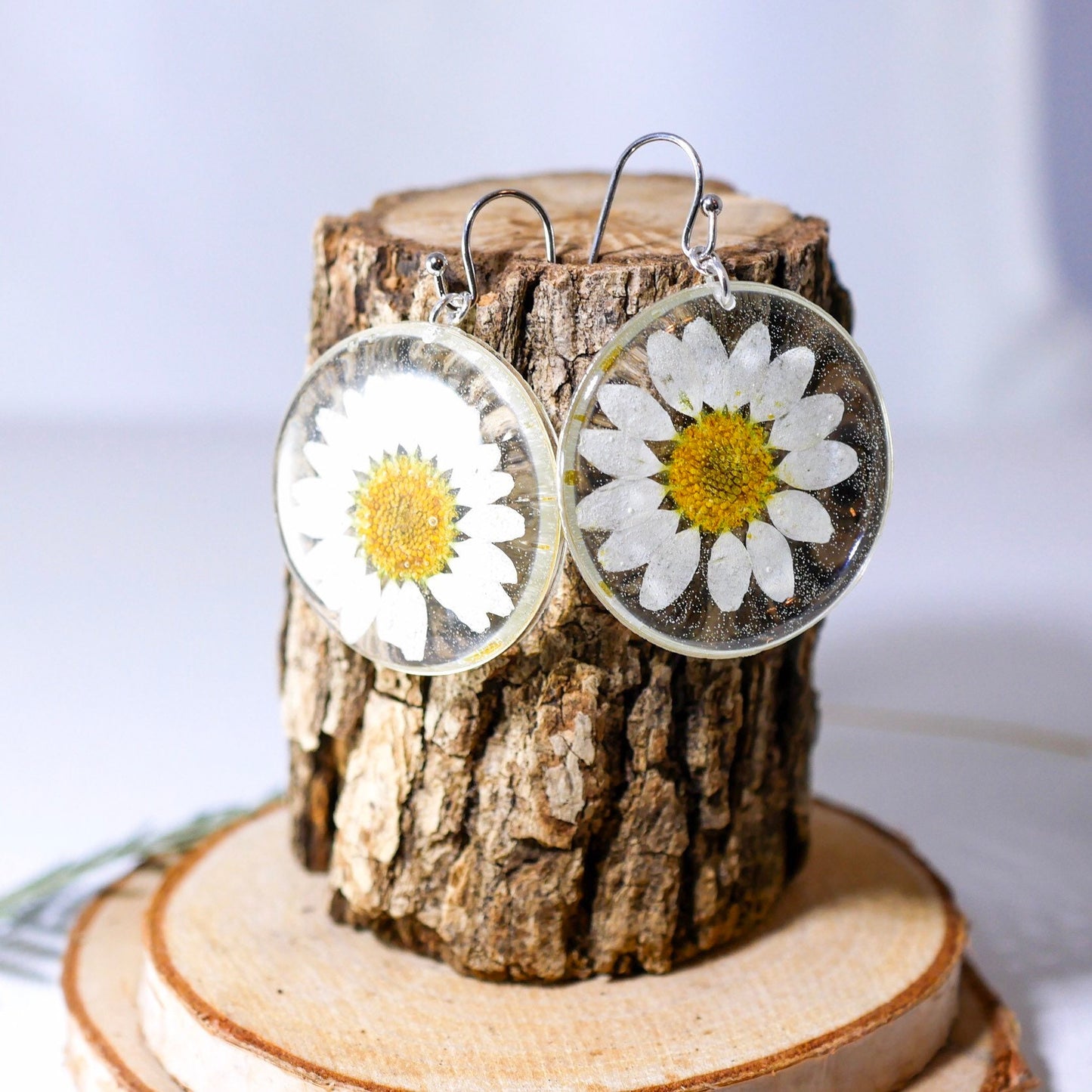 Pressed flower daisy earrings, real flowers,  silver statement dangles,  terrarium earrings, real flower jewelry