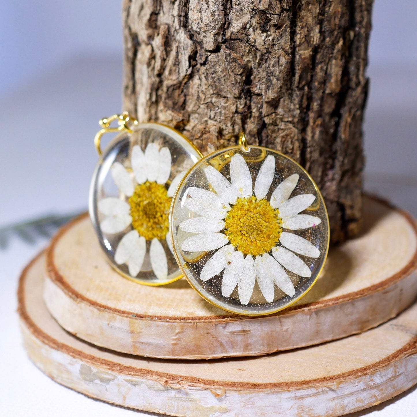 Pressed flower daisy earrings,   gold dangles,  real flower jewelry, terrarium earrings