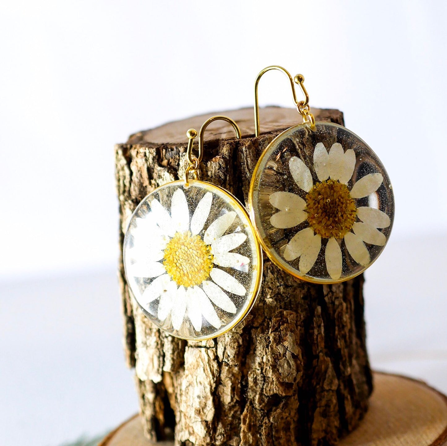 Pressed flower daisy earrings,   gold dangles,  real flower jewelry, terrarium earrings