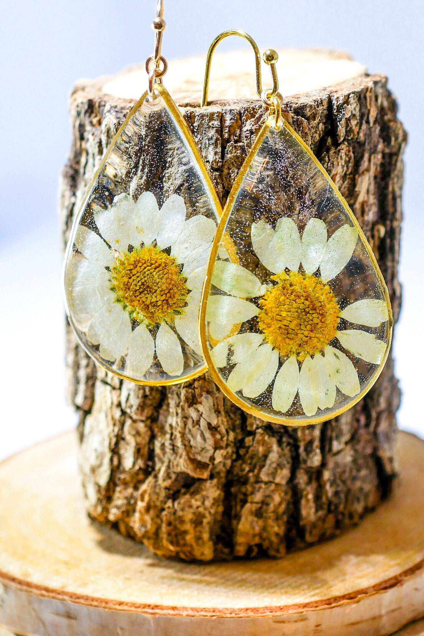 Pressed flower daisy earrings,   gold dangles,  real flower jewelry, resin jewelry, terrarium earrings