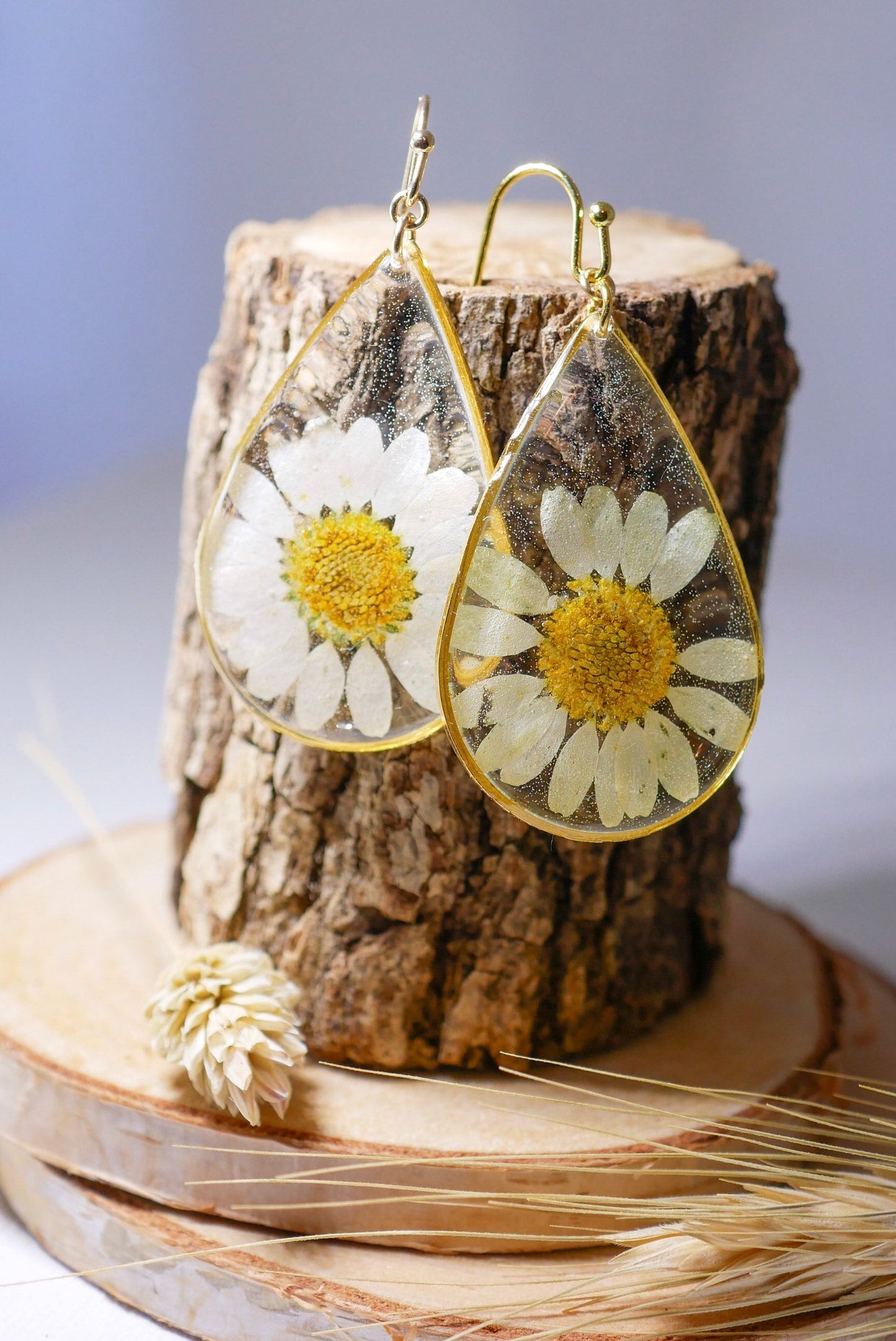 Pressed flower daisy earrings,   gold dangles,  real flower jewelry, resin jewelry, terrarium earrings