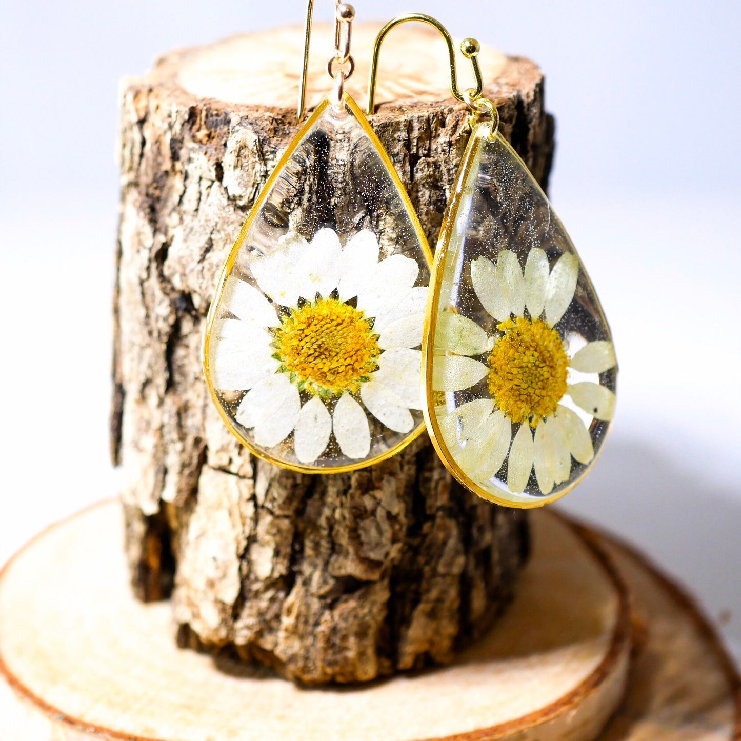 Pressed flower daisy earrings,   gold dangles,  real flower jewelry, resin jewelry, terrarium earrings