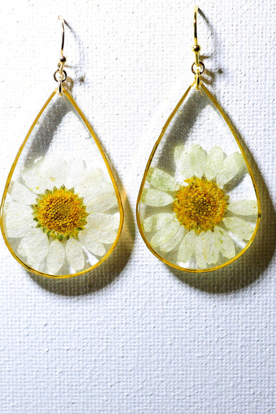 Pressed flower daisy earrings,   gold dangles,  real flower jewelry, resin jewelry, terrarium earrings