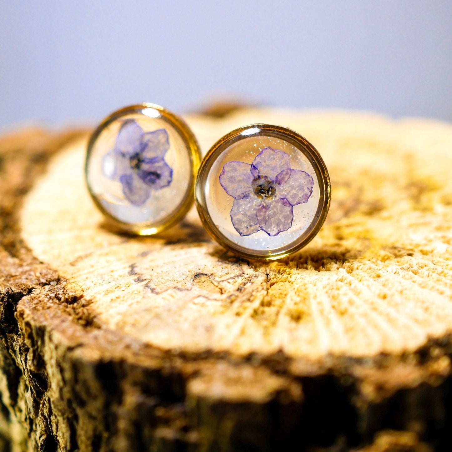Tiny Forget me not Flower Stud Earrings, Real Flower Jewelry, Forget me not earrings, Pressed flower jewelry, Memorial Jewelry, Circle studs