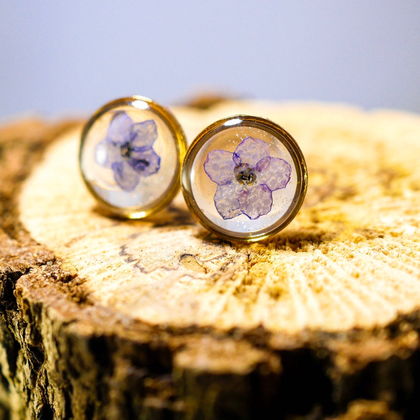 Forget Me Not Flower Stud Earrings, Real Pressed Flowers (10mm Circle)