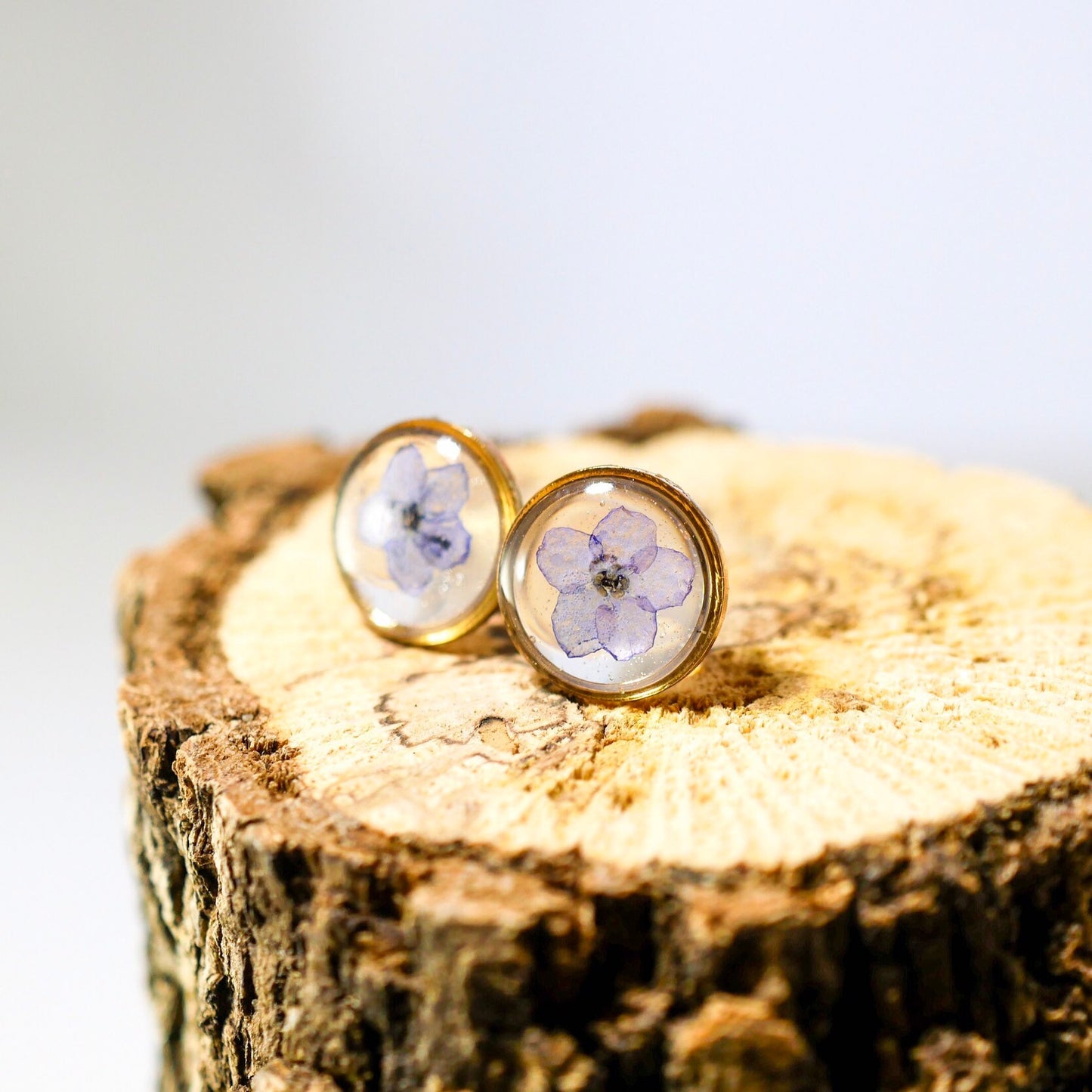 Forget Me Not Flower Stud Earrings, Real Pressed Flowers (10mm Circle)