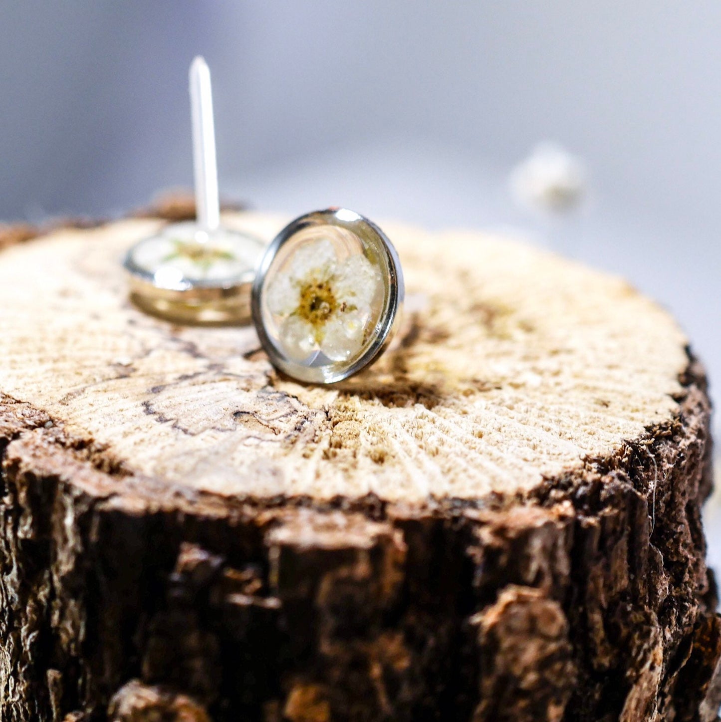White flower earrings, Real flower stud earrings, Pressed flower jewelry, bridal terrarium earrings