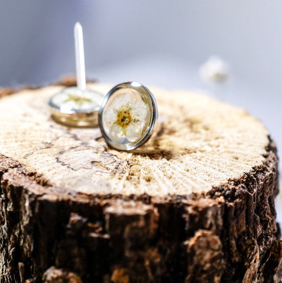 White flower earrings, Real flower stud earrings, Pressed flower jewelry, bridal terrarium earrings
