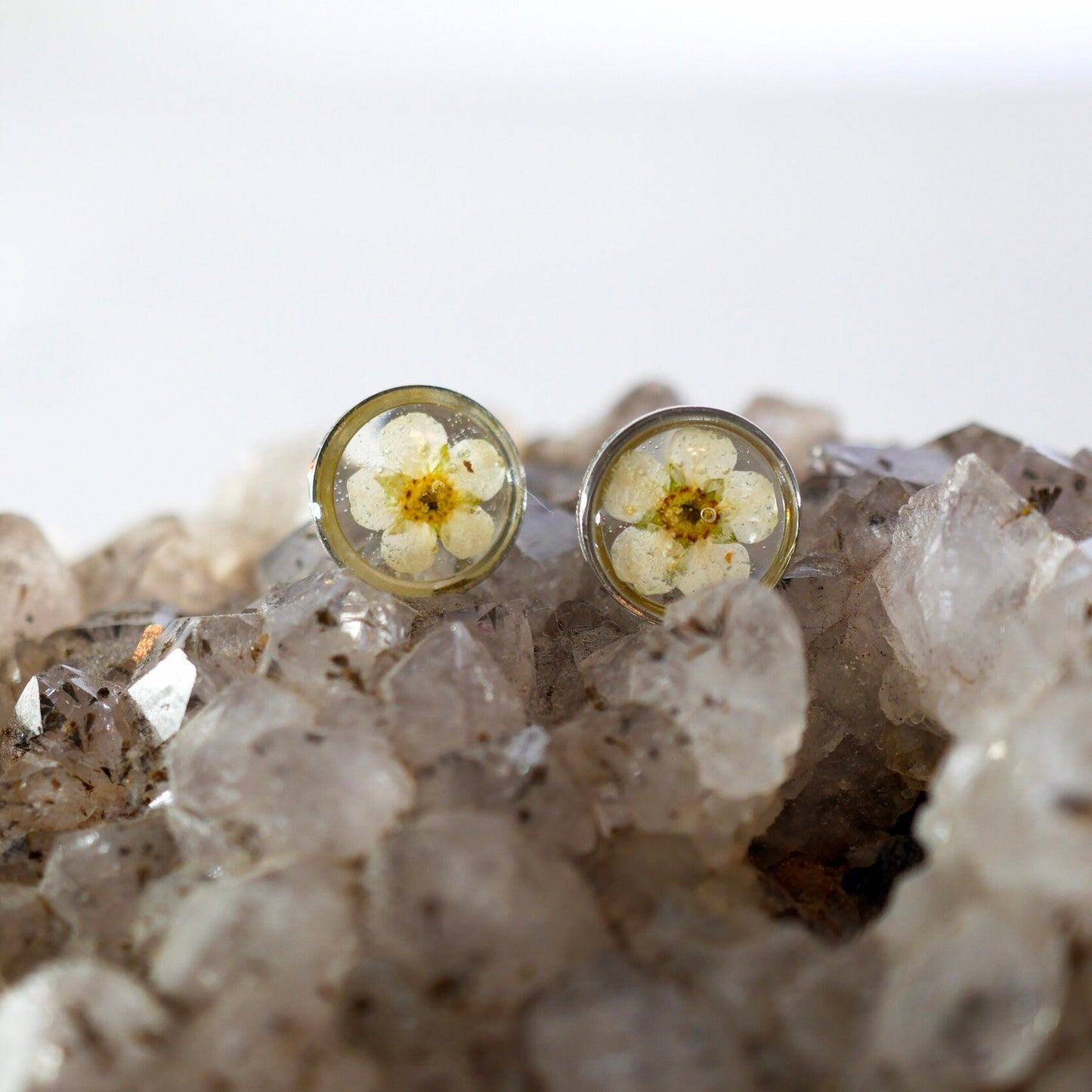 White flower earrings, Real flower stud earrings, Pressed flower jewelry, bridal terrarium earrings