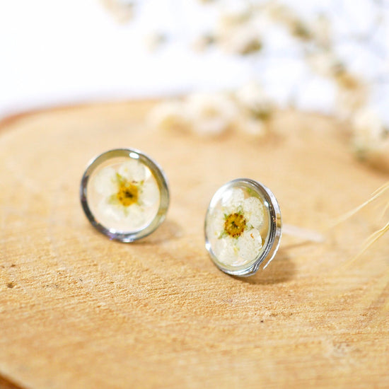 White flower earrings, Real flower stud earrings, Pressed flower jewelry, bridal terrarium earrings