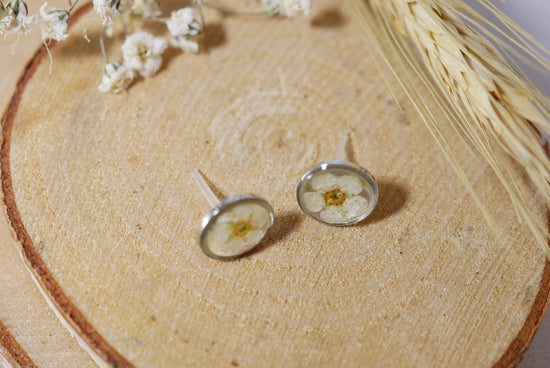 White flower earrings, Real flower stud earrings, Pressed flower jewelry, bridal terrarium earrings