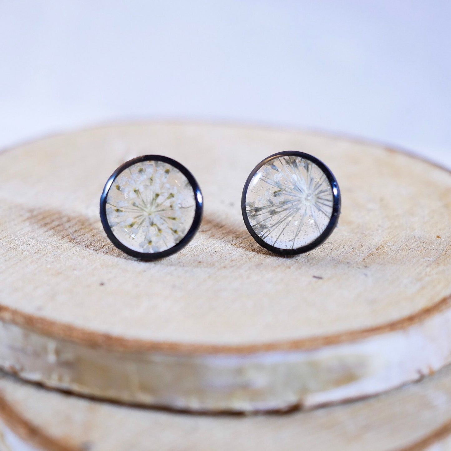 Queen Annes Lace Stud earrings, Black and white flower earrings, bridal jewelry, real flowers jewelry