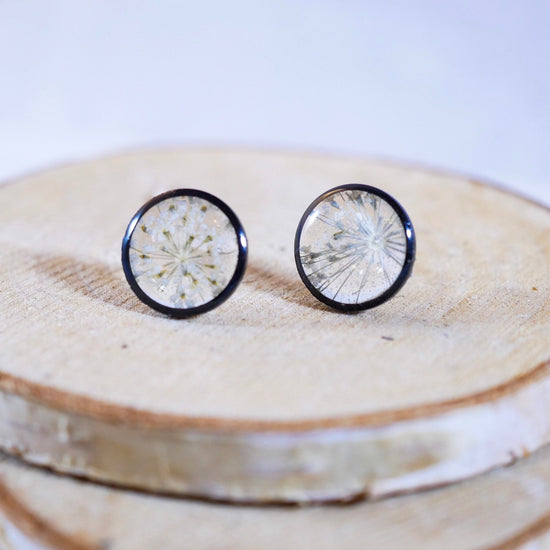 Queen Annes Lace Stud earrings, Black and white flower earrings, bridal jewelry, real flowers jewelry
