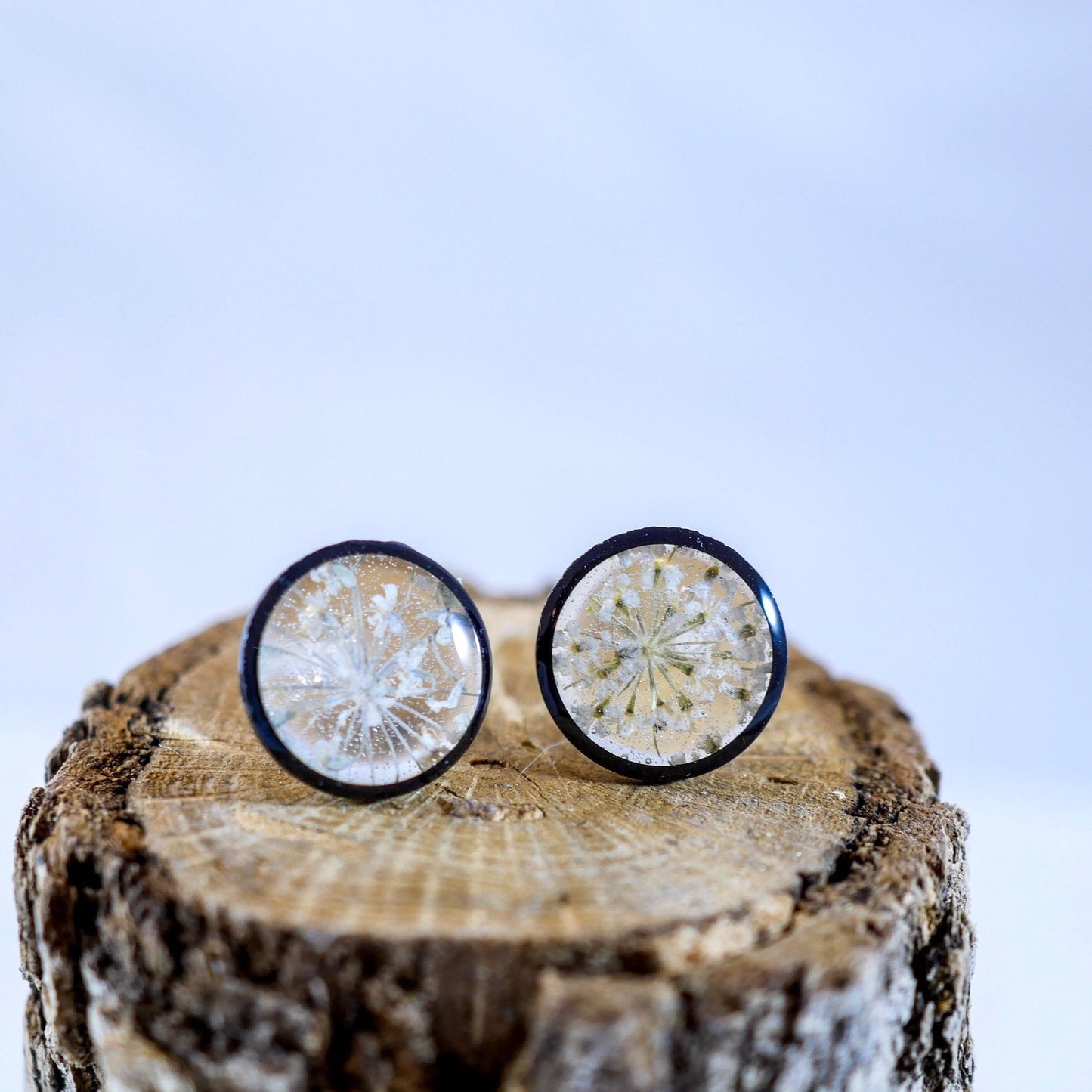 Queen Annes Lace Stud earrings, Black and white flower earrings, bridal jewelry, real flowers jewelry