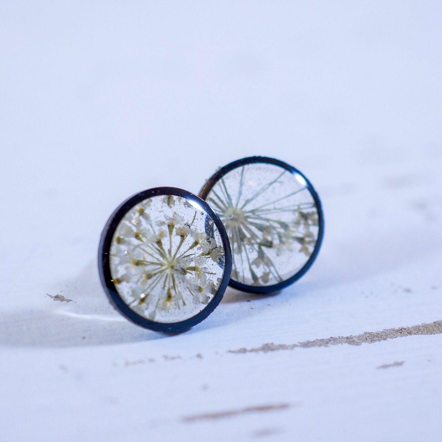 Queen Annes Lace Stud earrings, Black and white flower earrings, bridal jewelry, real flowers jewelry