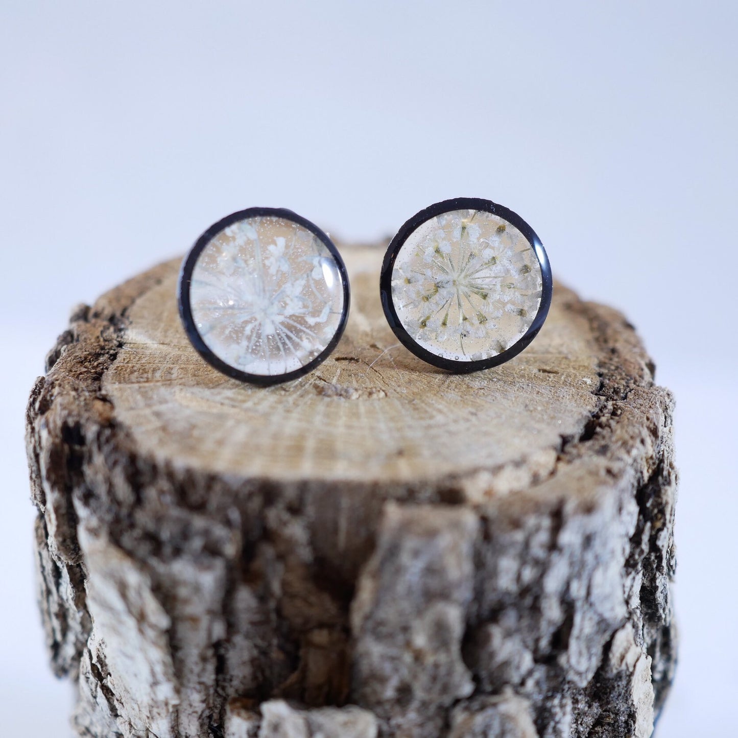 Queen Annes Lace Stud earrings, Black and white flower earrings, bridal jewelry, real flowers jewelry