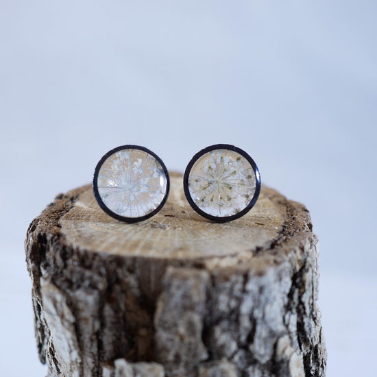 Queen Annes Lace Stud earrings, Black and white flower earrings, bridal jewelry, real flowers jewelry
