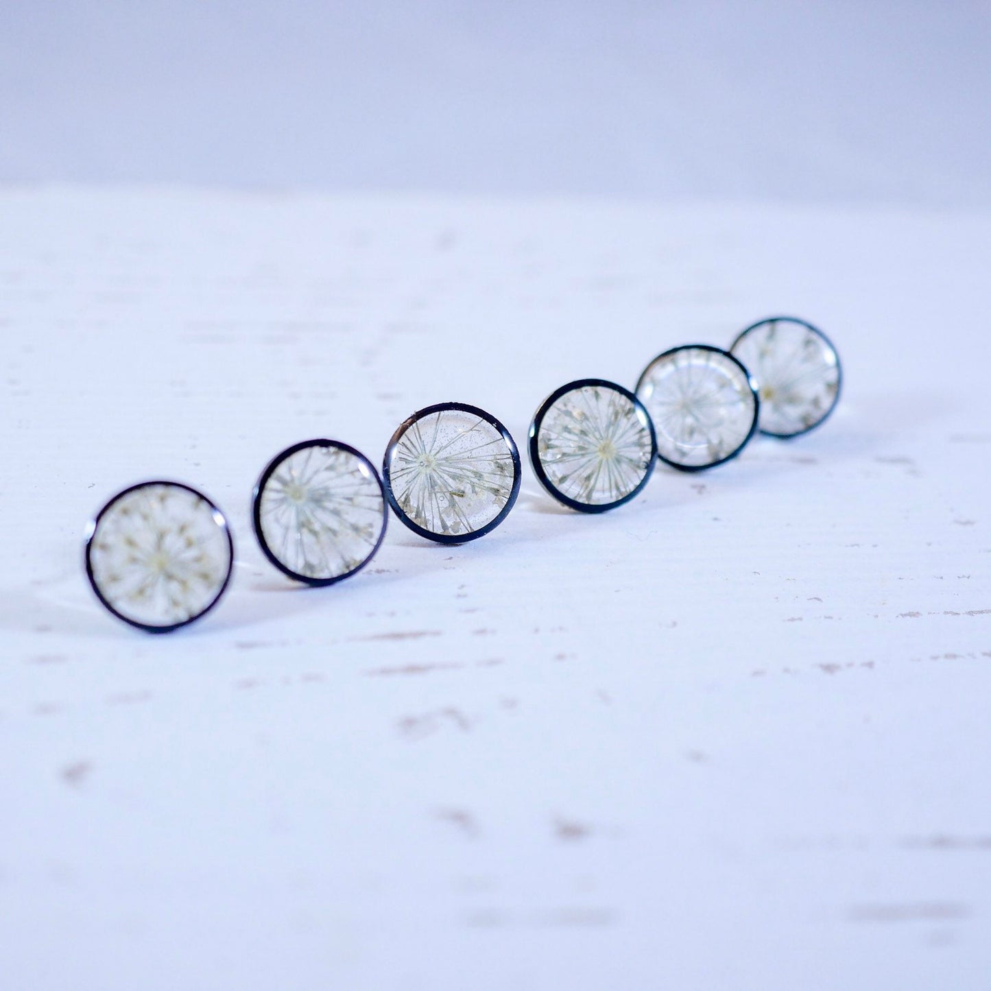 Queen Annes Lace Stud earrings, Black and white flower earrings, bridal jewelry, real flowers jewelry