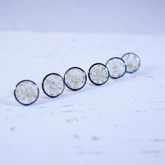 Queen Annes Lace Stud earrings, Black and white flower earrings, bridal jewelry, real flowers jewelry