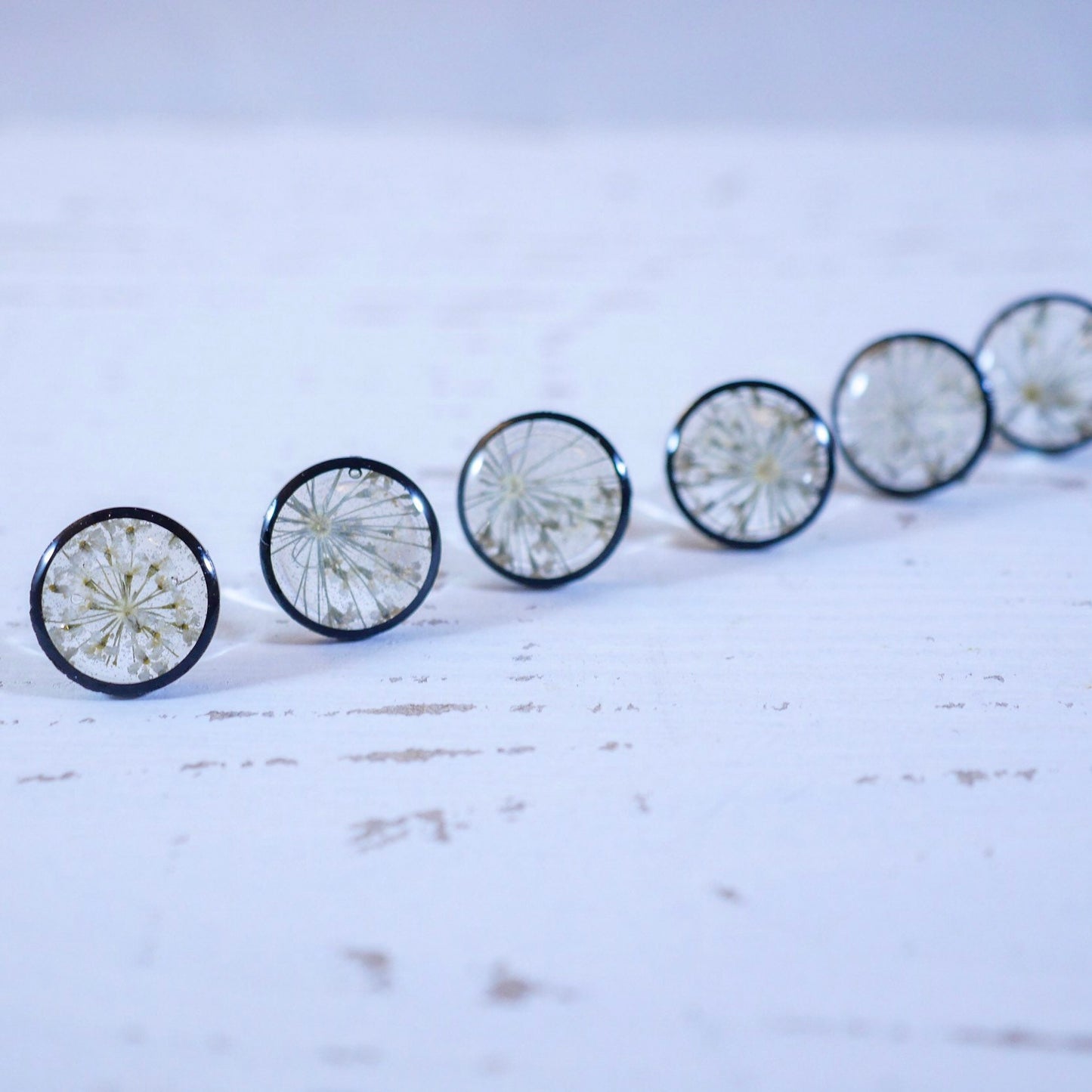 Queen Annes Lace Stud earrings, Black and white flower earrings, bridal jewelry, real flowers jewelry