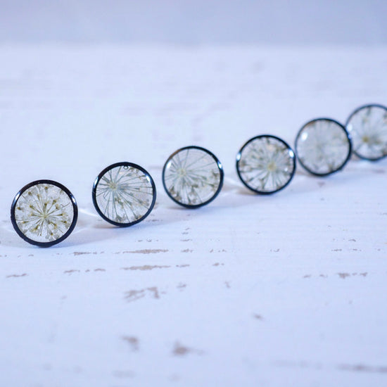 Queen Annes Lace Stud earrings, Black and white flower earrings, bridal jewelry, real flowers jewelry
