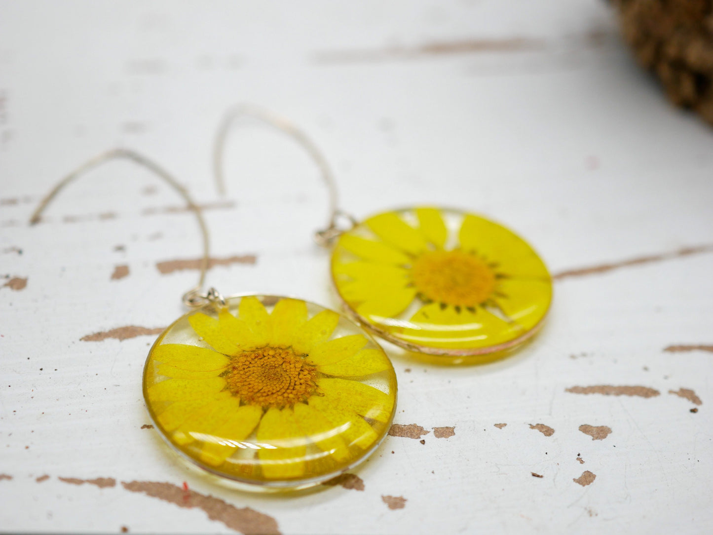 Yellow flower daisy earrings,  pressed flower earrings,  real flower jewelry, terrarium earrings