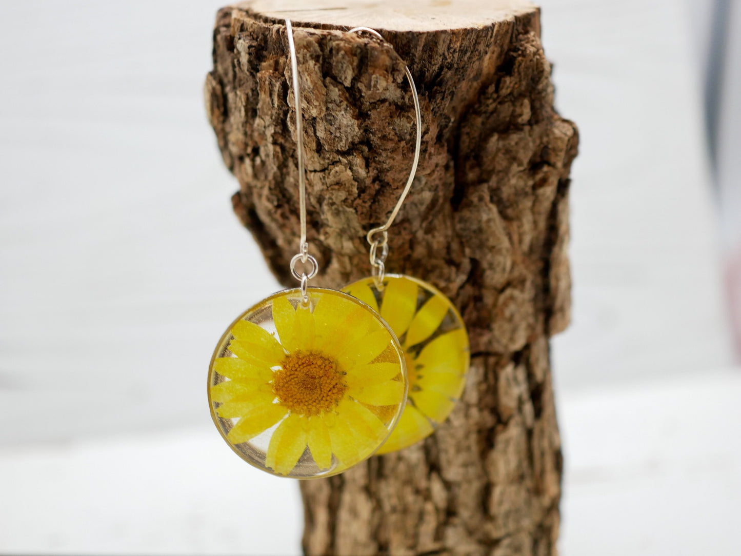 Yellow flower daisy earrings,  pressed flower earrings,  real flower jewelry, terrarium earrings