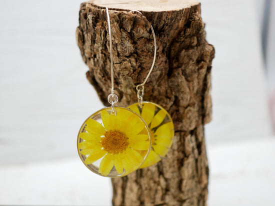 Yellow flower daisy earrings,  pressed flower earrings,  real flower jewelry, terrarium earrings