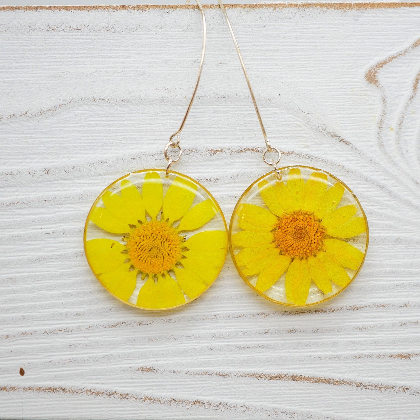 Yellow flower daisy earrings,  pressed flower earrings,  real flower jewelry, terrarium earrings