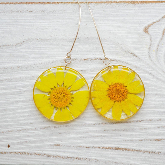 Yellow flower daisy earrings,  pressed flower earrings,  real flower jewelry, terrarium earrings