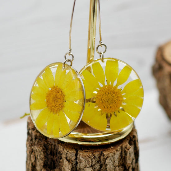 Yellow flower daisy earrings,  pressed flower earrings,  real flower jewelry, terrarium earrings