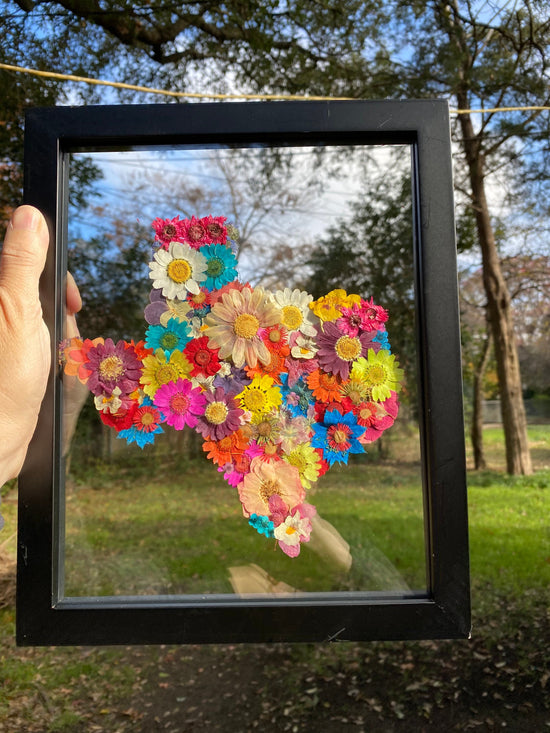 Pressed flower Texas wall art, original Texas art, pressed flower decor, Texas shaped wall hanging, Texas gift, Texas flower gift