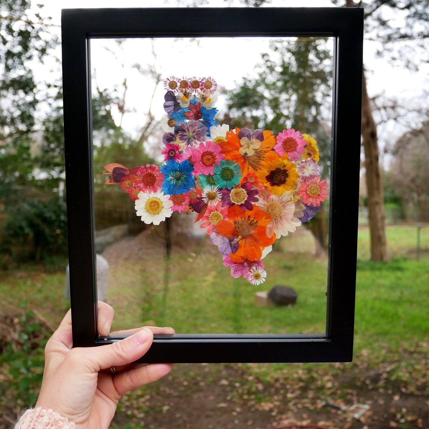 Pressed flower Texas wall art, original Texas art, pressed flower decor, Texas shaped wall hanging, Texas gift, Texas flower gift