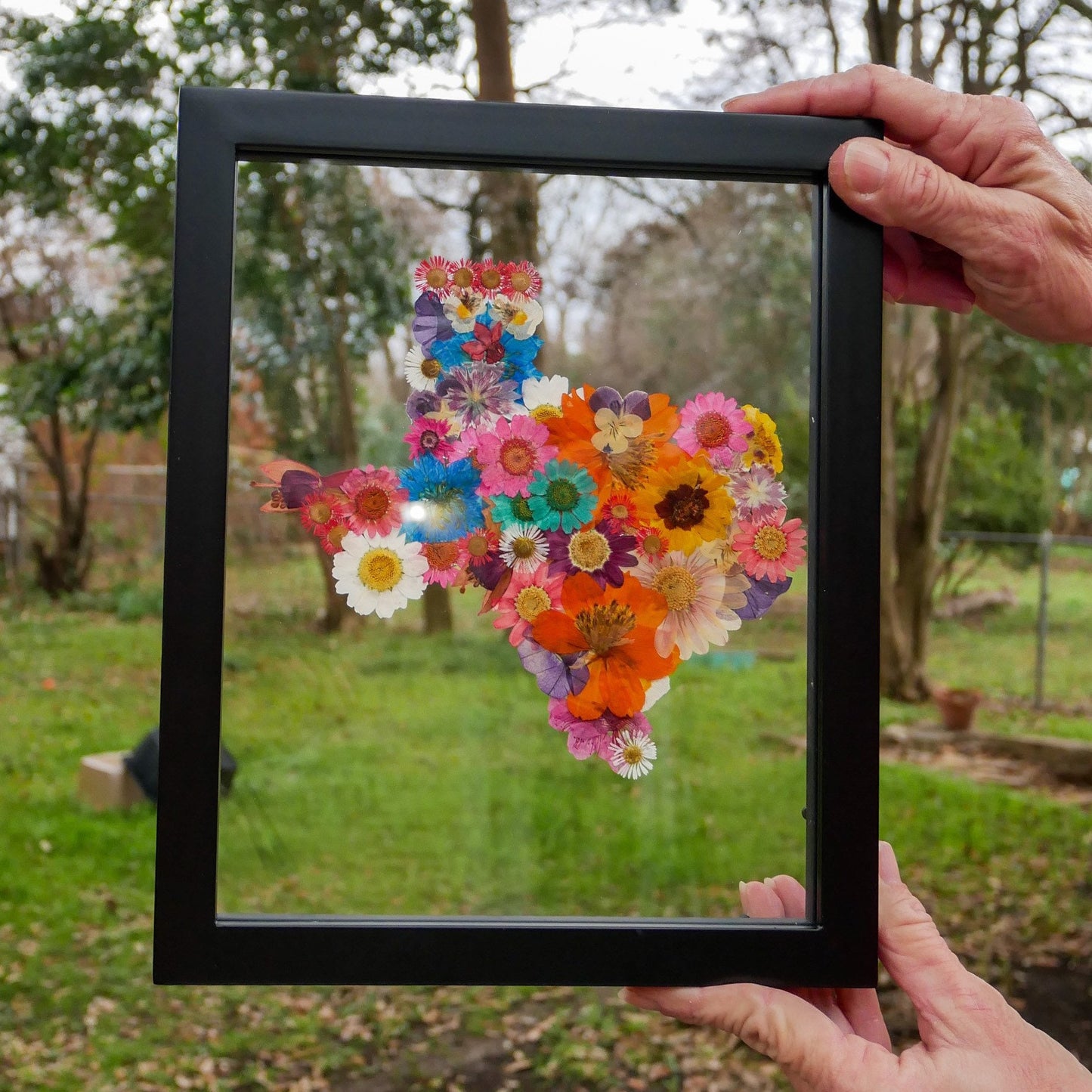 Pressed flower Texas wall art, original Texas art, pressed flower decor, Texas shaped wall hanging, Texas gift, Texas flower gift