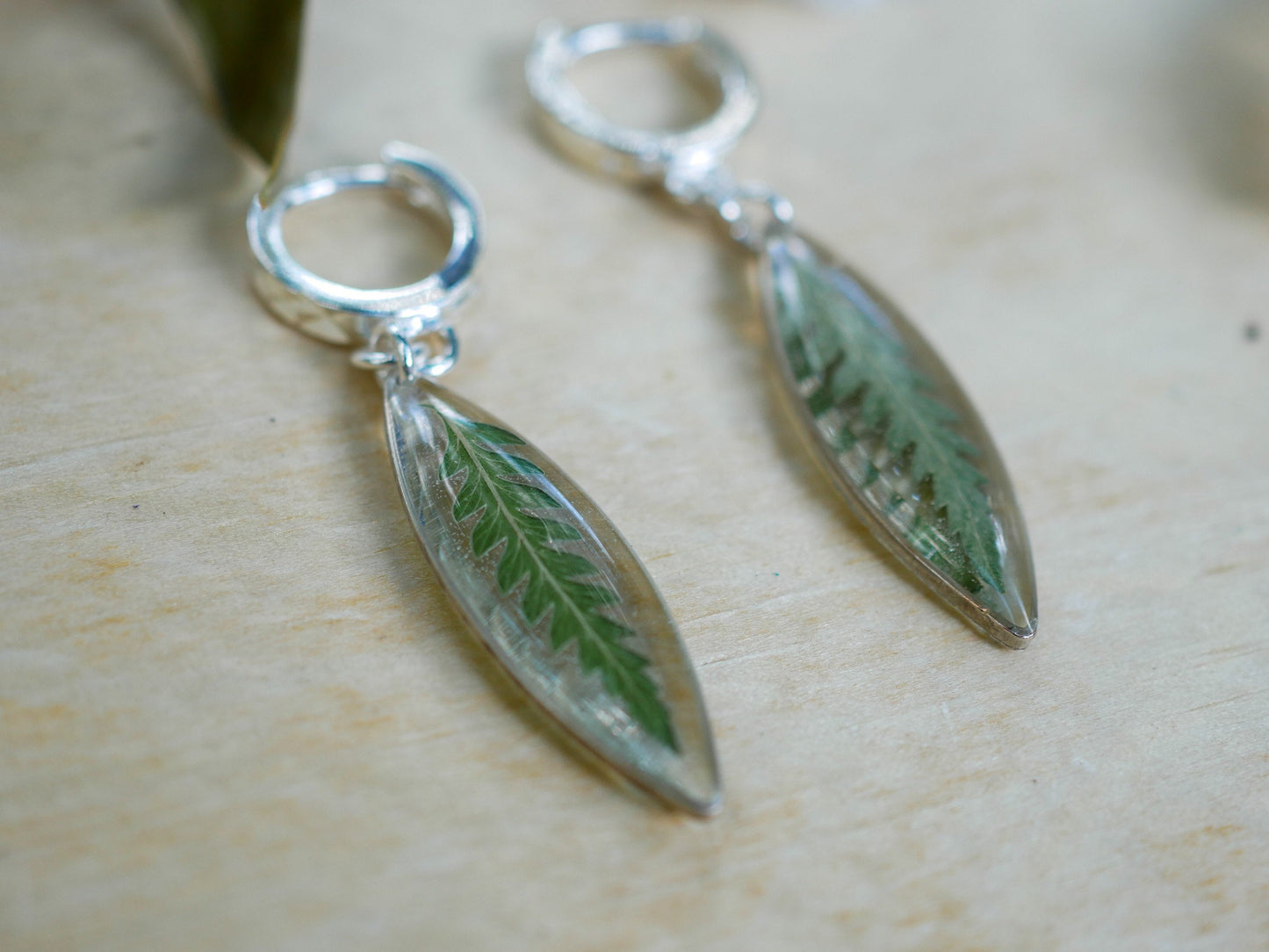 Pressed Fern ellipse huggy hoop earrings, real fern sterling silver hoops
