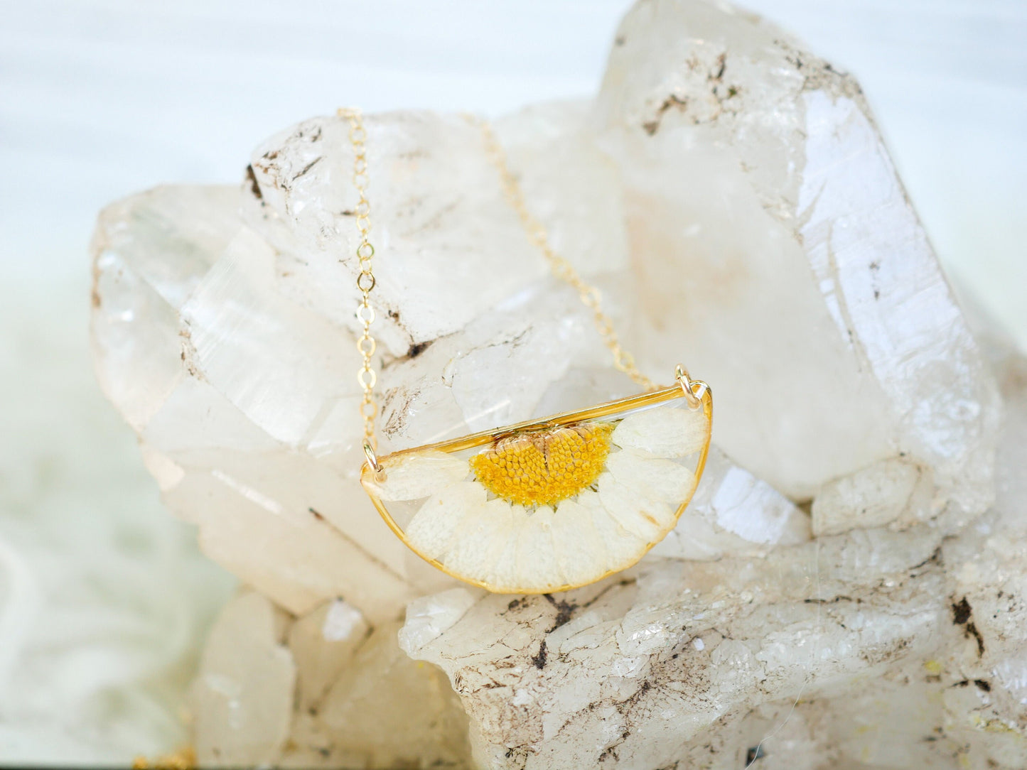 Pressed Daisy Half Moon Necklace