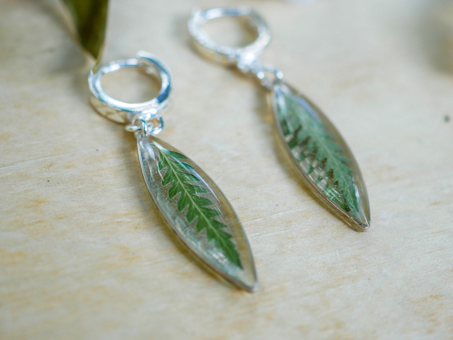 Pressed Fern ellipse huggy hoop earrings, real fern sterling silver hoops