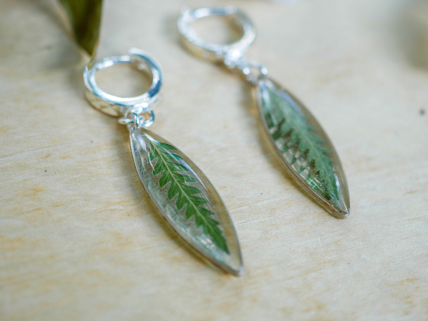 Ellipse Huggy Earrings: Real Pressed Ferns - Silver or Gold