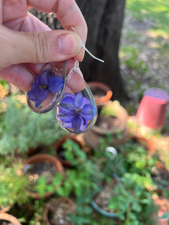 Pressed Larkspur earrings, botanical statement earrings, large real flower earrings, July birthflower