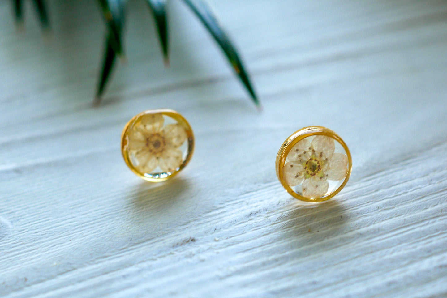 White flower earrings, Real flower stud earrings, Pressed flower jewelry, bridal terrarium earrings