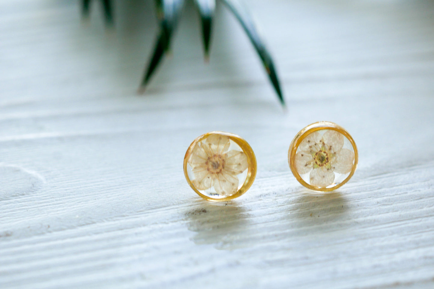 White flower earrings, Real flower stud earrings, Pressed flower jewelry, bridal terrarium earrings