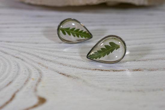 Teardrop Pressed Fern Studs – Fairy Core Vibes