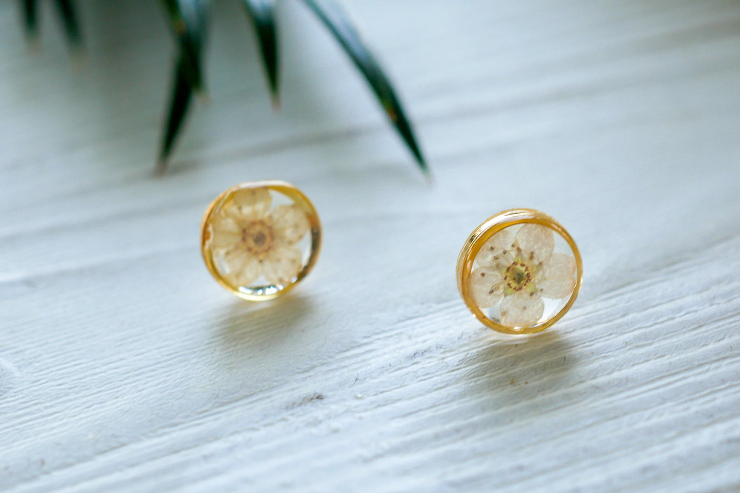 White flower earrings, Real flower stud earrings, Pressed flower jewelry, bridal terrarium earrings