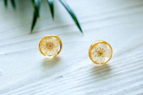 White flower earrings, Real flower stud earrings, Pressed flower jewelry, bridal terrarium earrings
