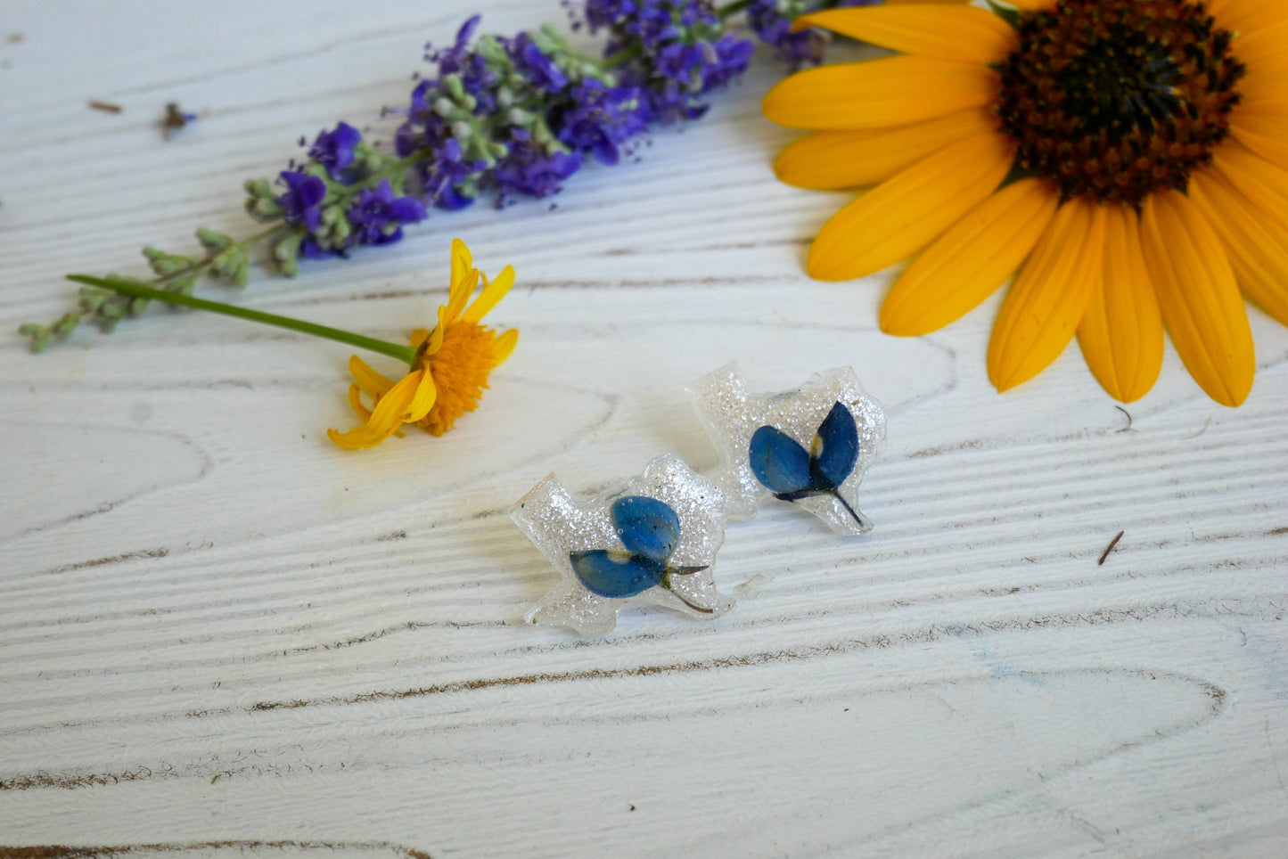 Texas bluebonnet stud earrings, Texas shaped earrings, pressed bluebonnet jewelry