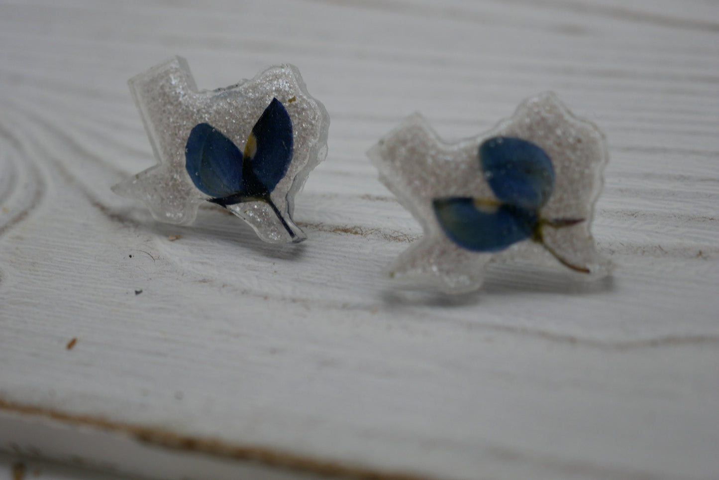 Texas bluebonnet stud earrings, Texas shaped earrings, pressed bluebonnet jewelry