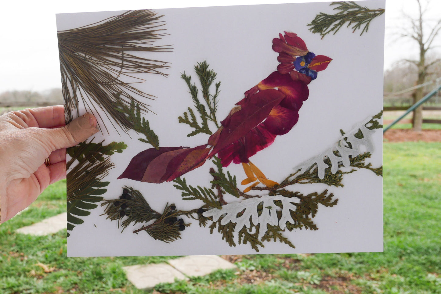 Pressed flower cardinal art, real flower art PRINT