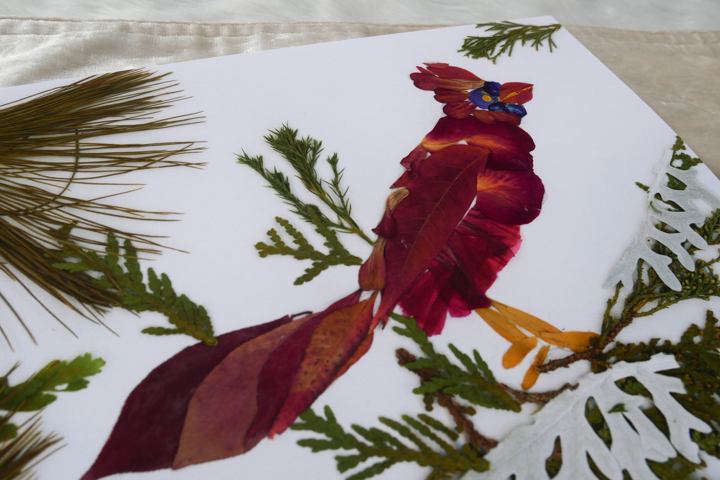 Pressed flower cardinal art, real flower art PRINT