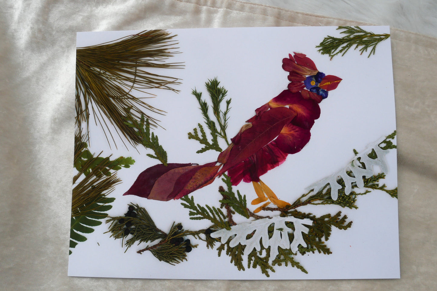 Pressed flower cardinal art, real flower art PRINT